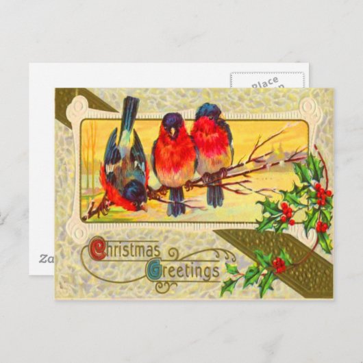 Vogels & Holly Briefkaart (Voorkant / Achterkant)