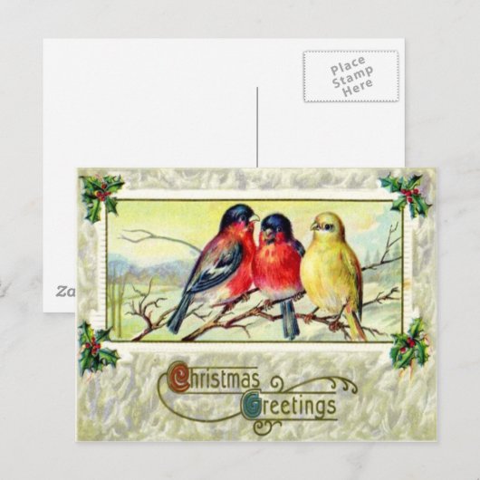 Vogels & Holly Briefkaart (Voorkant / Achterkant)