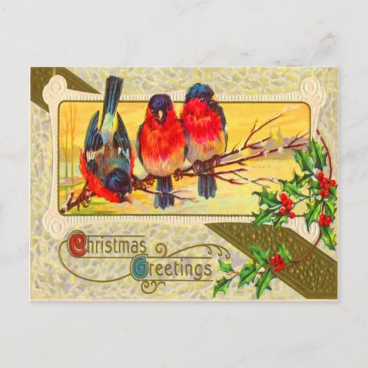 Vogels & Hulst Briefkaart (Voorkant)