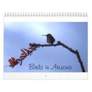 Vogels in Arizona Kalender