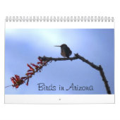 Vogels in Arizona Kalender (Hoes)