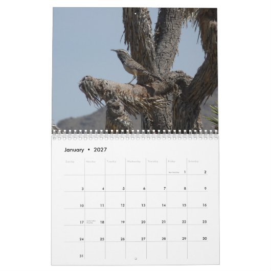 Vogels in Arizona Kalender (Jan 2027)