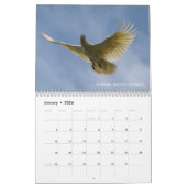 vogels in Australië 2021 dierkalender Kalender (Jan 2026)
