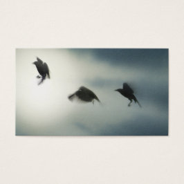 Vogels in beweging visitekaartje