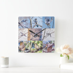 Vogels in bewegingsklok vierkante klok