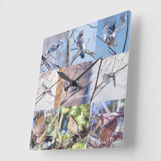 Vogels in bewegingsklok vierkante klok (Hoek)