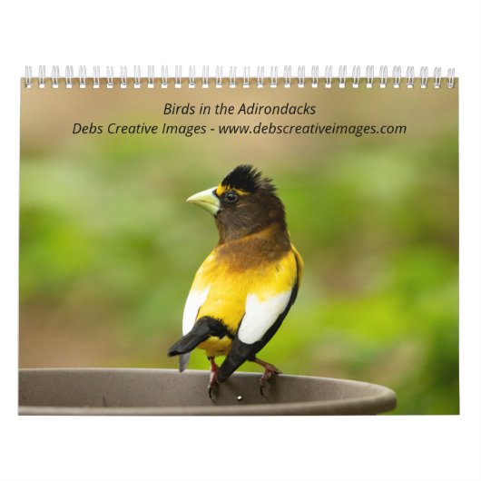 Vogels in de Adirondacks 2026 Kalender (Hoes)