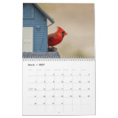 Vogels in de Adirondacks 2026 Kalender (Mar 2027)