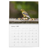 Vogels in de Adirondacks 2026 Kalender (Jan 2027)
