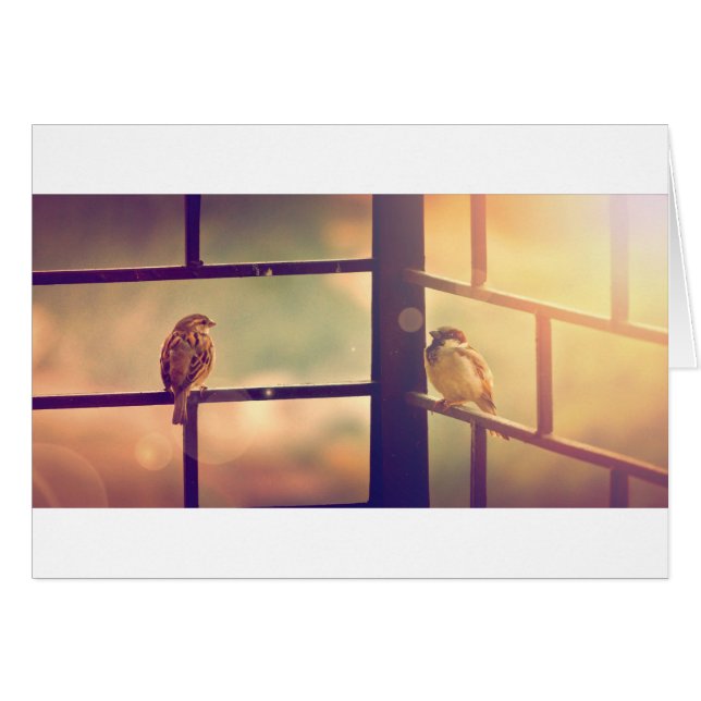 Vogels in de avondzon (Voorkant Horizontaal)