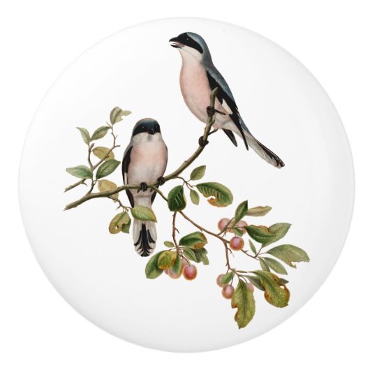   vogels in de Berry-boom Keramische Knop (Voorkant)