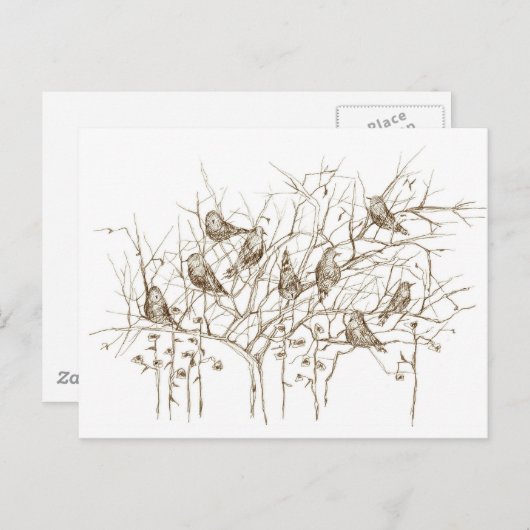 Vogels in de boom Sepia Pen en Ink Sketch Briefkaart (Voorkant / Achterkant)