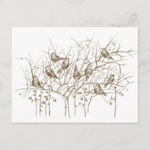Vogels in de boom Sepia Pen en Ink Sketch Briefkaart