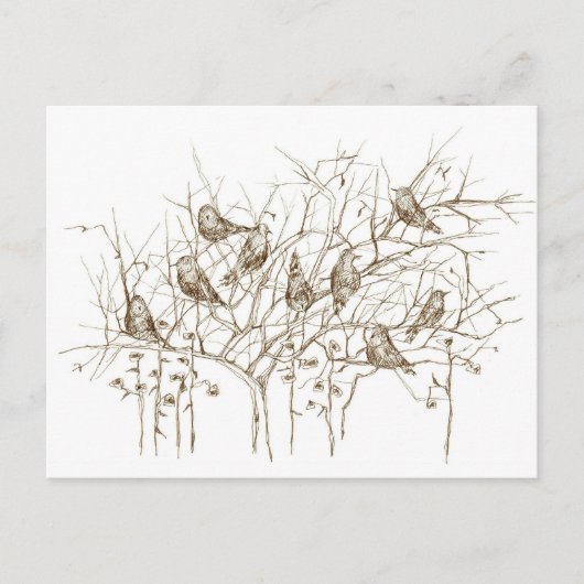 Vogels in de boom Sepia Pen en Ink Sketch Briefkaart (Voorkant)