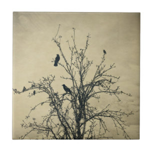 Vogels in de boom   -    tegeltje