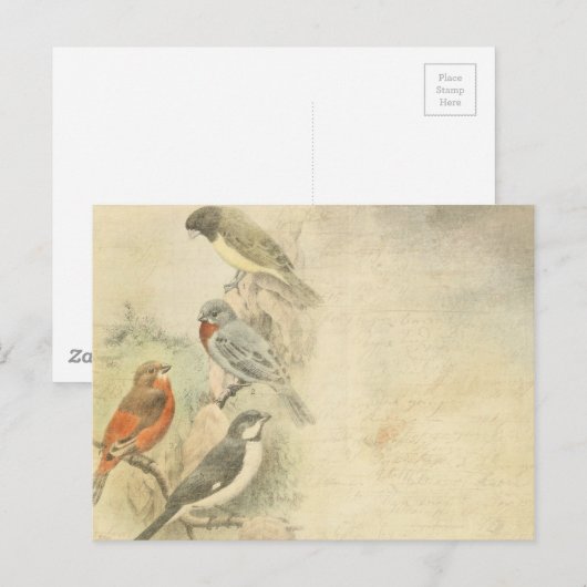  vogels in de boomachtergrond briefkaart (Voorkant / Achterkant)
