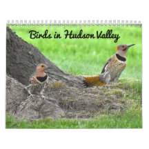 Vogels in de Hudsonvallei