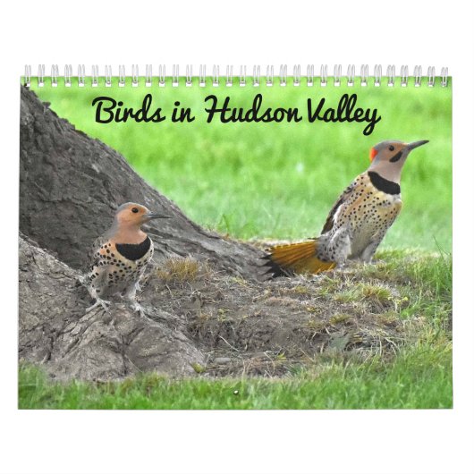 Vogels in de Hudsonvallei Kalender (Hoes)