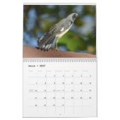 Vogels in de Hudsonvallei Kalender (Mar 2027)