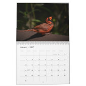 Vogels in de Hudsonvallei Kalender (Jan 2027)
