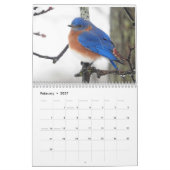 Vogels in de Hudsonvallei Kalender (Feb 2027)