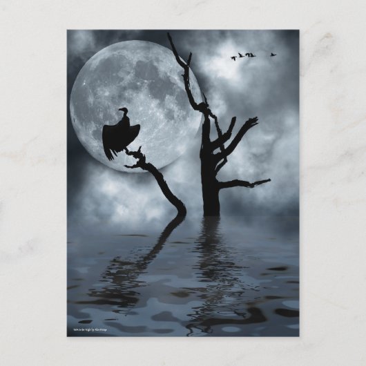 Vogels in de nacht briefkaart (Voorkant)