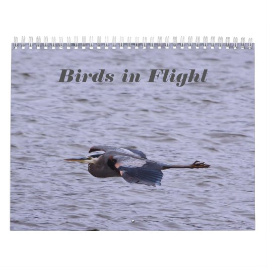 Vogels in de vliegkalender kalender (Hoes)