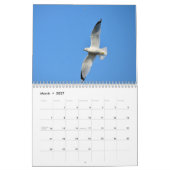 Vogels in de vliegkalender kalender (Mar 2027)