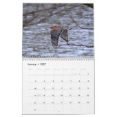 Vogels in de vliegkalender kalender (Jan 2027)