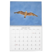 Vogels in de Waterverf kunstkalender Kalender (Jan 2027)
