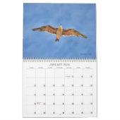 Vogels in de Waterverf kunstkalender Kalender (Jan 2026)