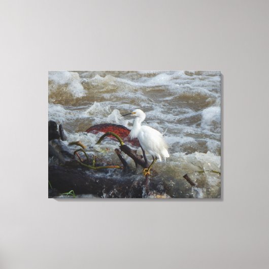 VOGELS IN DE WILDE #1 OP CANVAS 20 "x 16" Afdruk (Voorkant)