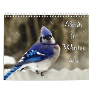 Vogels in de winter kalender
