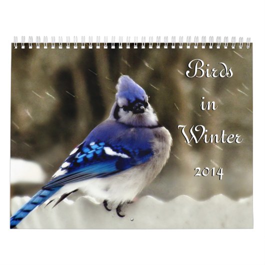 Vogels in de winter kalender (Hoes)