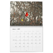 Vogels in de winter kalender (Mar 2027)