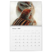 Vogels in de winter kalender (Jan 2027)