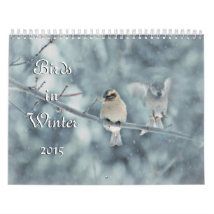 Vogels in de winterkalender 2015 kalender