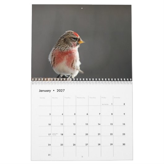 Vogels in de winterkalender 2015 kalender (Jan 2027)