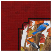 Vogels in Herfst Maple Tree Rood Stof (Close Up)