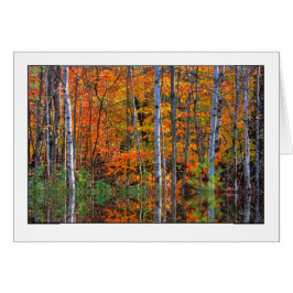 Vogels in het hoogwater