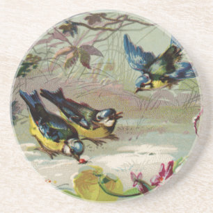 vogels in het Onderzetter van de sneeuwzandsteen