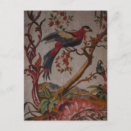 Vogels in het paradijs ~ Briefkaart (Voorkant)