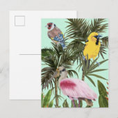 Vogels in het Paradijs Briefkaart (Voorkant / Achterkant)