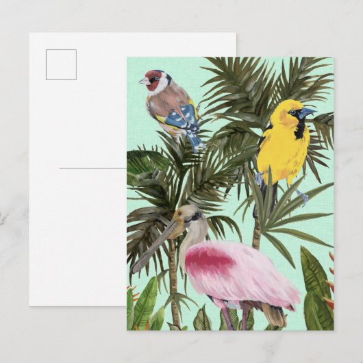 Vogels in het Paradijs Briefkaart (Voorkant / Achterkant)