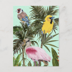 Vogels in het Paradijs Briefkaart