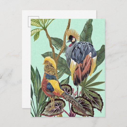 Vogels in het paradijs - grote vogels briefkaart (Voorkant / Achterkant)