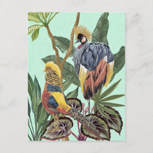 Vogels in het paradijs - grote vogels briefkaart