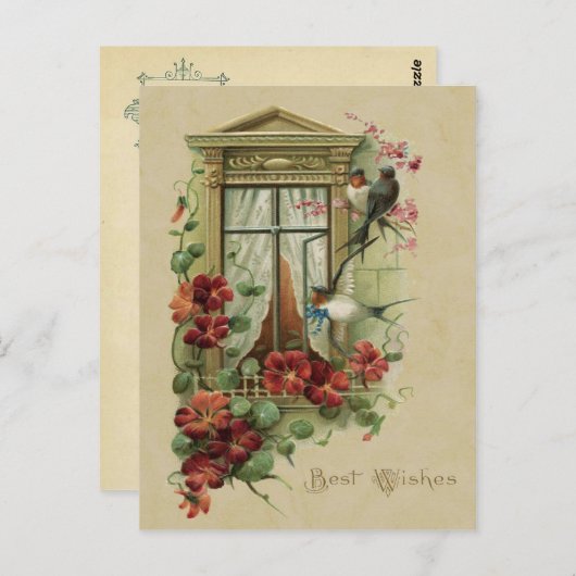 Vogels in het venster Best maakt reproductie moge Briefkaart (Voorkant / Achterkant)