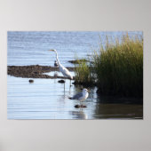 Vogels in het Water Poster (Voorkant)