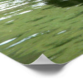 Vogels in het water poster (Hoek)